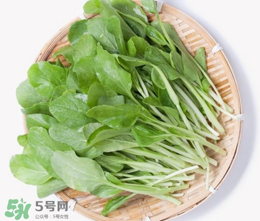 雞毛菜有什么營養(yǎng)價值？雞毛菜的功效與作用