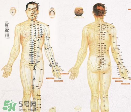 貼三伏貼可以吃西瓜嗎？貼三伏貼吃西瓜有什么害處