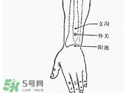 三伏貼能治過敏性鼻炎嗎？三伏貼治過敏性鼻炎貼哪里？