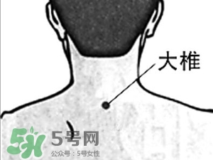 三伏貼能治過敏性鼻炎嗎？三伏貼治過敏性鼻炎貼哪里？