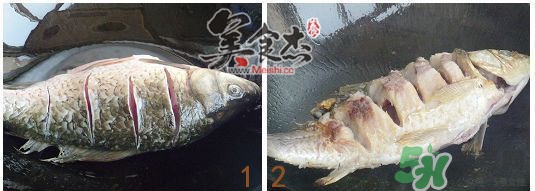 三伏灸可以吃魚嗎？三伏灸可以吃什么魚？