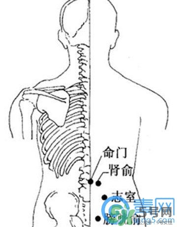 三伏灸可以治腰腿痛嗎？三伏灸治腰腿痛灸哪里》