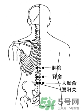 三伏灸可以治腰腿痛嗎？三伏灸治腰腿痛灸哪里》