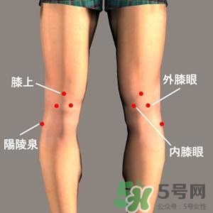 三伏灸可以治腰腿痛嗎？三伏灸治腰腿痛灸哪里》