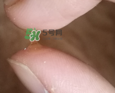 SKINCEUTICALS修麗可夜間精華怎么樣_好用嗎？