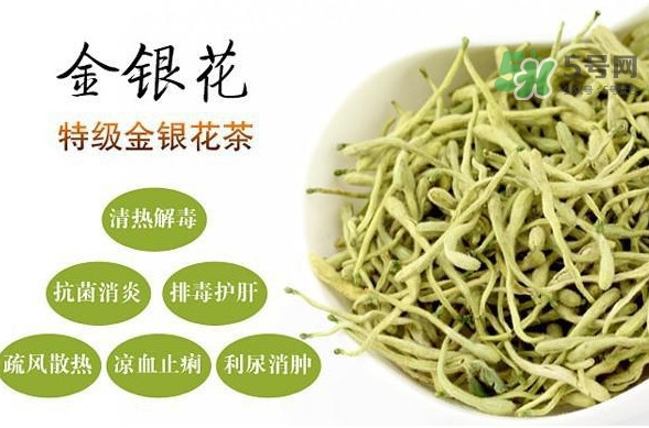 金銀花茶是去火的嗎？金銀花茶有什么功效與作用