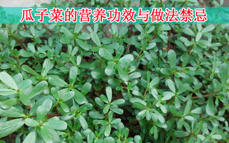 梅干菜會(huì)致癌嗎？致癌屬誤傳