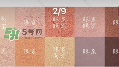 zoeva玫瑰金眼影盤怎么畫？zoeva rose golden畫法教程