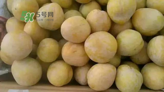 奈李是什么水果？奈李為什么會(huì)空心