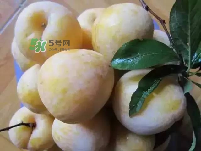 黃金奈李的營養(yǎng)價(jià)值 黃金奈李的功效