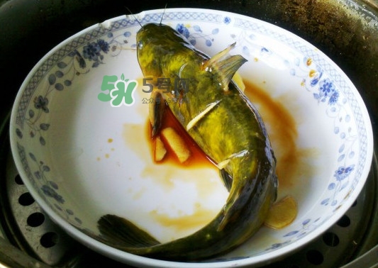 黃刺魚死了能吃嗎？黃刺魚不能與什么同食