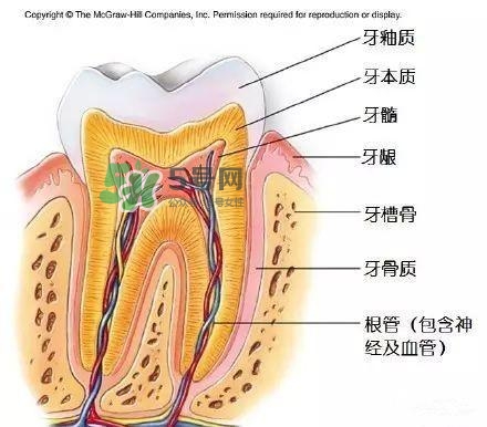 regenerate牙膏多少錢？regenerate牙膏專柜價格