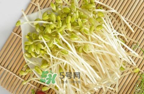 豆芽有根好還是無根好？無根豆芽與有根豆芽區(qū)別