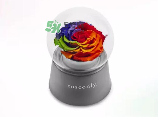 roseonly音樂盒多少錢？roseonly音樂盒歌曲名