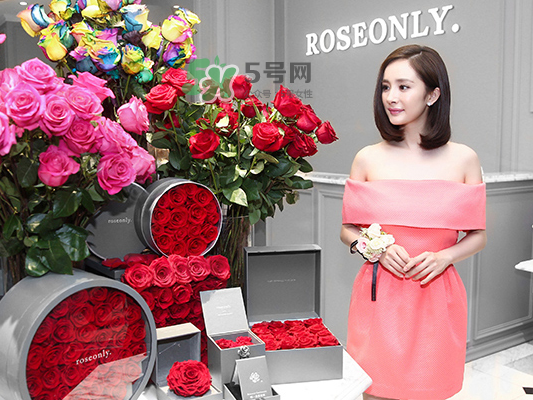 roseonly音樂盒多少錢？roseonly音樂盒歌曲名