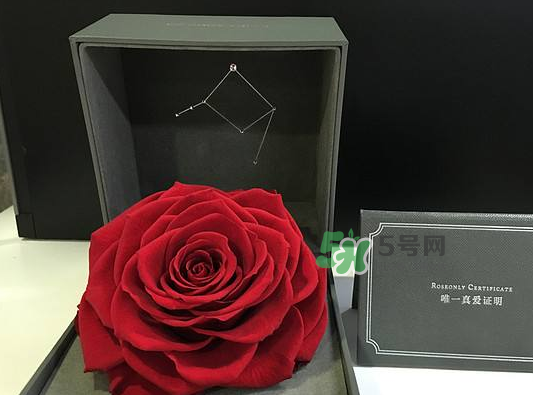 roseonly永生花可以保存多久？roseonly永生花保養(yǎng)