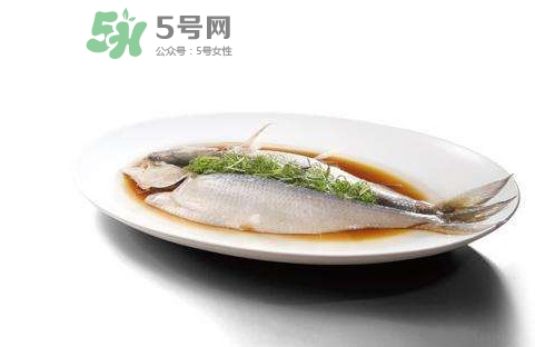 鰣魚還有嗎？長江鰣魚滅絕了嗎