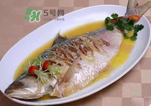 鰣魚怎么讀？鰣魚是什么魚