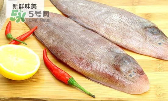 龍利魚怎么挑選？龍利魚與越南巴沙魚的區(qū)別