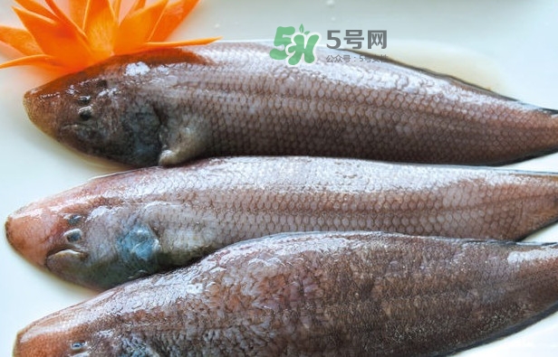 龍利魚怎么做給寶寶吃？龍利魚怎么處理