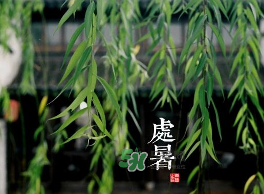 2017處暑還熱嗎？2017處暑后天氣還熱嗎？