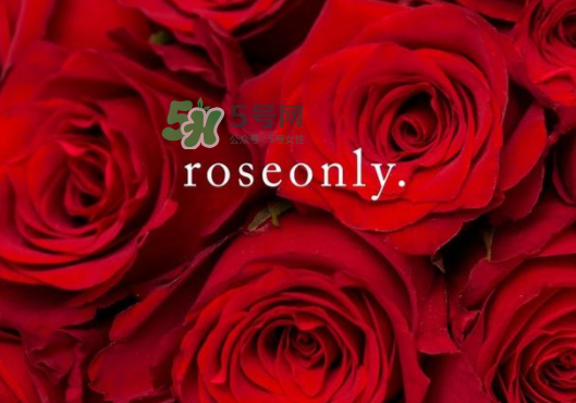 2017七夕禮盒roseonly多少錢？roseonly巨型玫瑰禮盒多少錢？