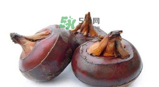 野荸薺怎么吃？野荸薺的食用功效