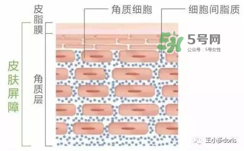 外油內(nèi)干的皮膚怎么護(hù)理 先補(bǔ)水還是先控油