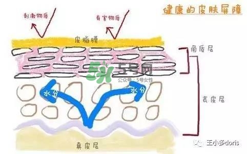 外油內(nèi)干的皮膚怎么護(hù)理 先補(bǔ)水還是先控油