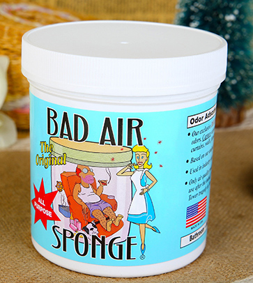 Bad Air Sponge有用嗎？Bad Air Sponge效果如何？