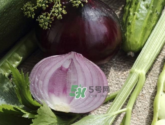 皮芽子發(fā)芽了可以吃嗎？新疆人為什么都愛(ài)吃皮芽子