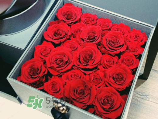 roseonly怎么買？roseonly如何買第二次？