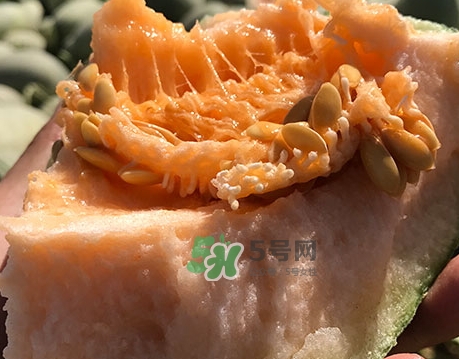 哈密瓜的營養(yǎng)價(jià)值_哈密瓜的功效與作用及食用禁忌