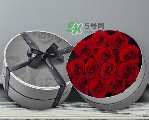 roseonly怎么讀？roseonly怎么讀在線讀？