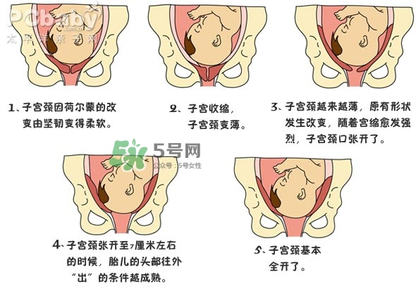 生孩子的過(guò)程是怎樣的？生孩子的真實(shí)過(guò)程