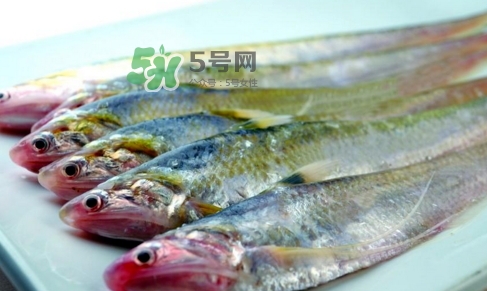 刁子魚是秋刀魚嗎？刁子魚是海魚嗎？