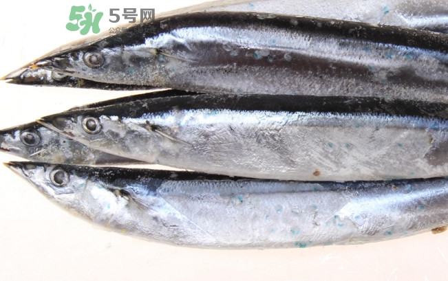 秋刀魚是海魚嗎？秋刀魚是淡水魚還是海魚