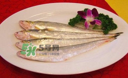 秋刀魚(yú)是刀魚(yú)嗎？秋刀魚(yú)和刀魚(yú)的區(qū)別