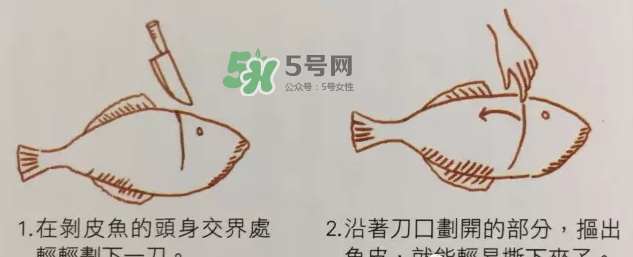 剝皮魚為什么要剝皮？剝皮魚的皮有毒嗎？