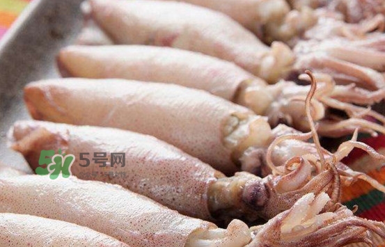 海兔子是小魷魚嗎？海兔子和魷魚的區(qū)別