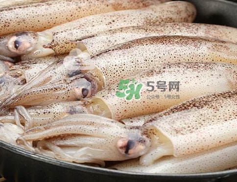 筆管魚是什么魚？筆管魚怎么吃