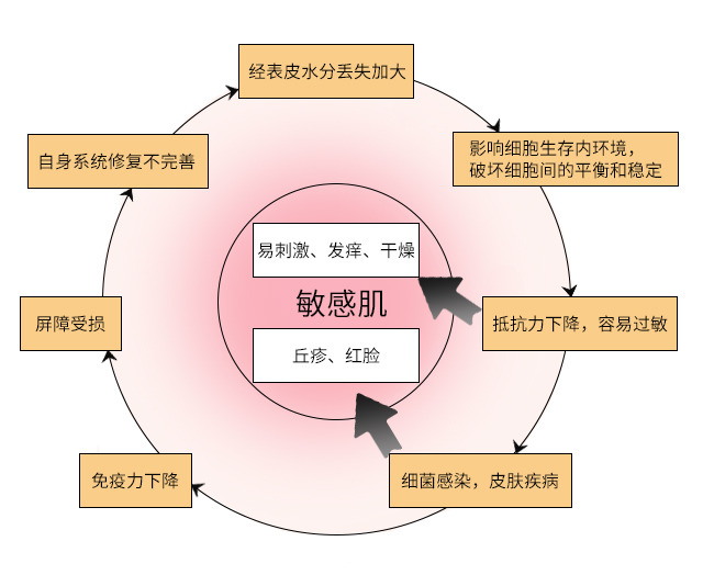 皮膚屏障受損什么意思 什么原因?qū)е缕つw屏障受損