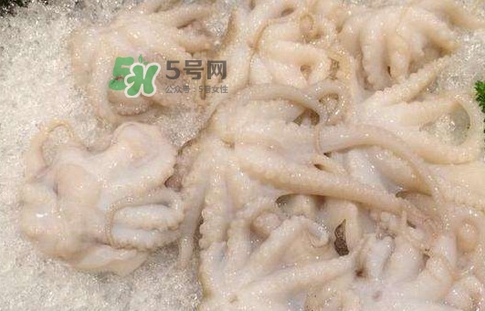 八爪魚的頭能吃嗎？八爪魚的頭里面是什么