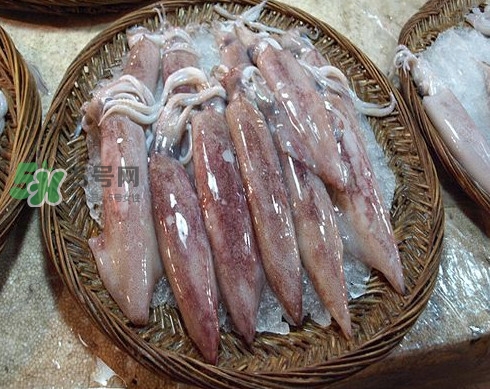 新鮮魷魚怎么保存？魷魚可以冷凍嗎