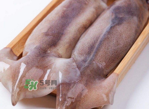 新鮮魷魚怎么保存？魷魚可以冷凍嗎