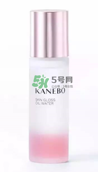 KANEBO嘉娜寶SKIN GLOSS OIL精華水價格_日本價格