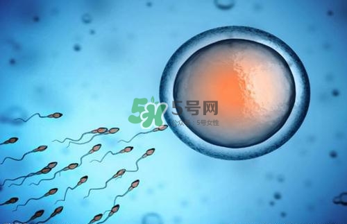 精子在女性體內(nèi)可以存活多久？男性的精子會枯竭嗎？