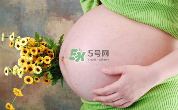 為什么孕婦的肚子有尖有圓？孕婦肚子尖圓對照圖