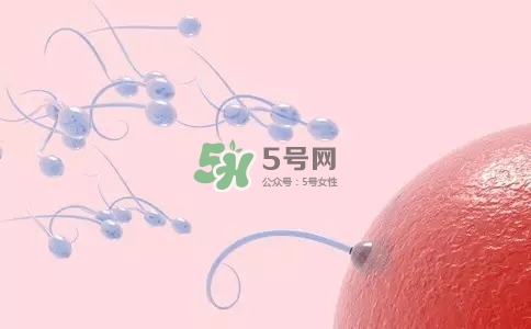 精子在女性體內(nèi)可以存活多久？男性的精子會枯竭嗎？