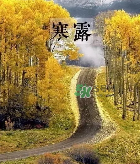 白露是寒露嗎？白露和寒露的區(qū)別